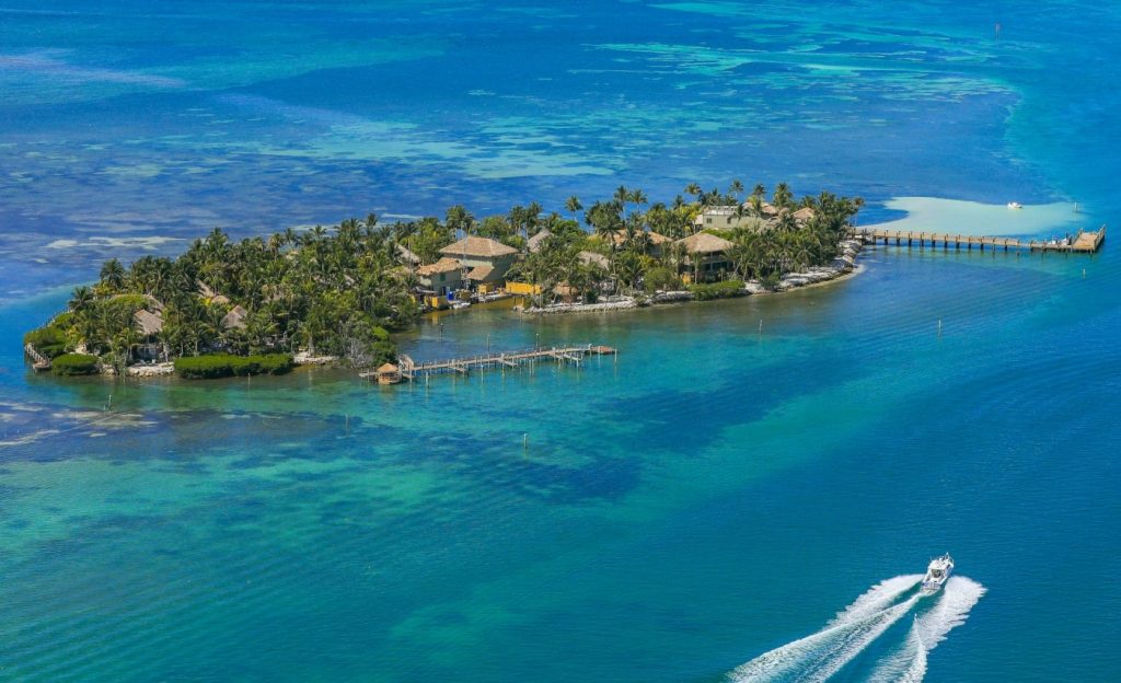 public adjuster on palm island