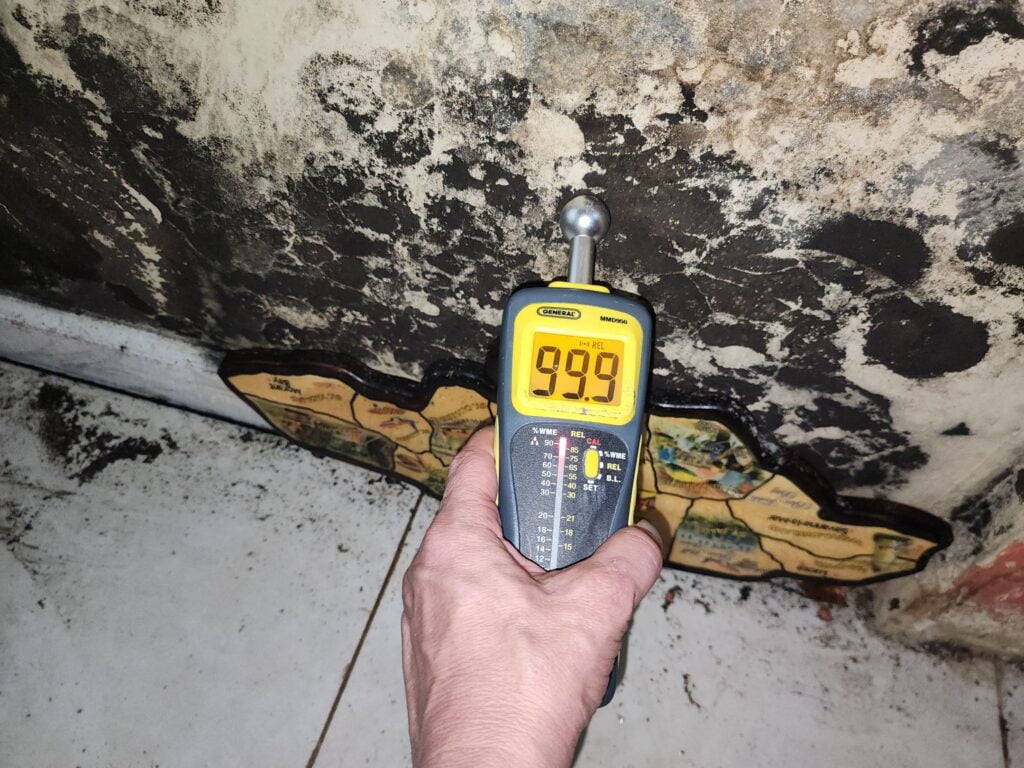 black Mold and water-damage Public adjuster