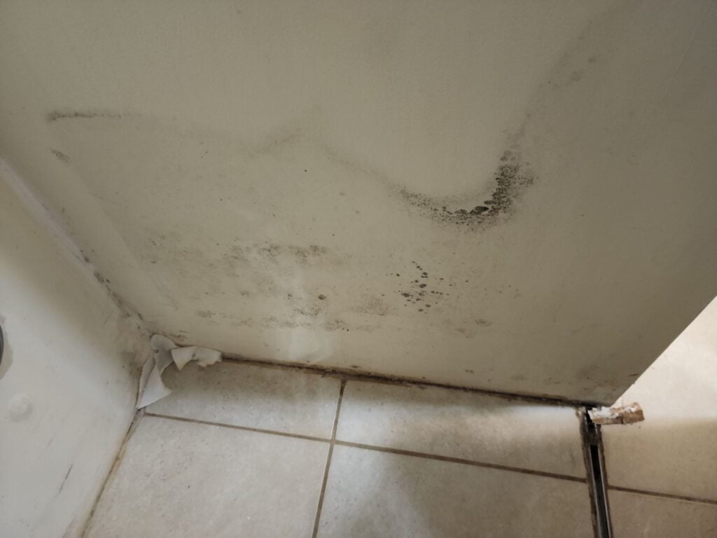 Black Mold in closet on drywall in pompano beach