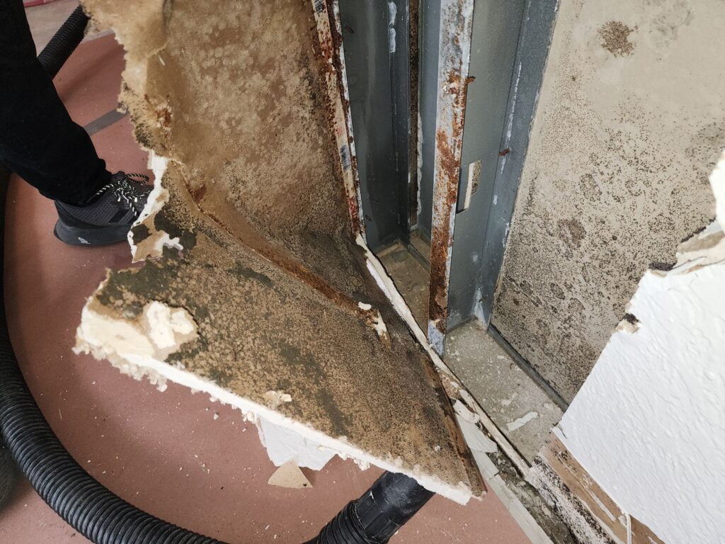 public adjuster on palm island old damage on drywall