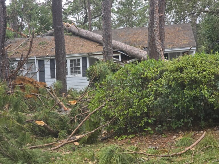 hurricane blew tree on top of roof